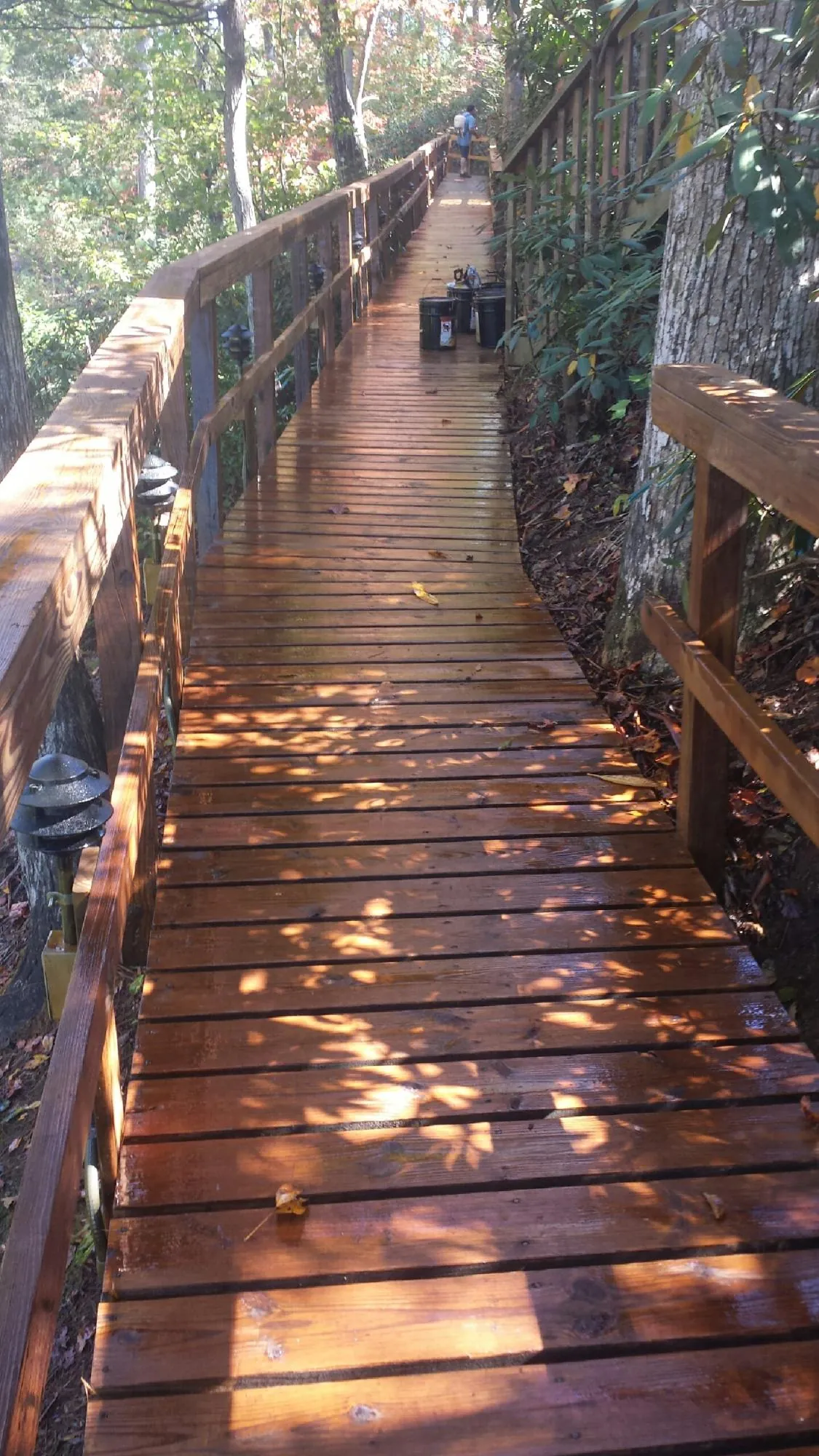 Freshly stained wood walkway winding through the woods in Blountville